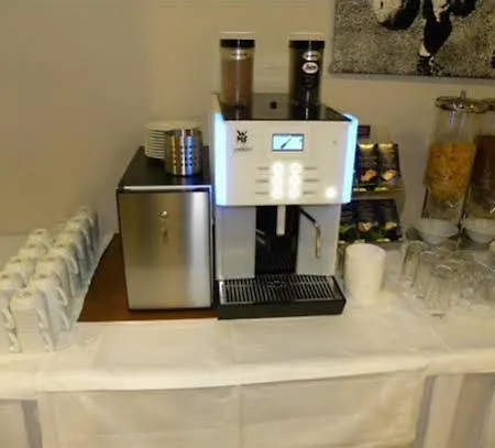酒店 格拉茨南朱法酒店 3*