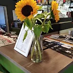 Jufa Sued - Self Check-in